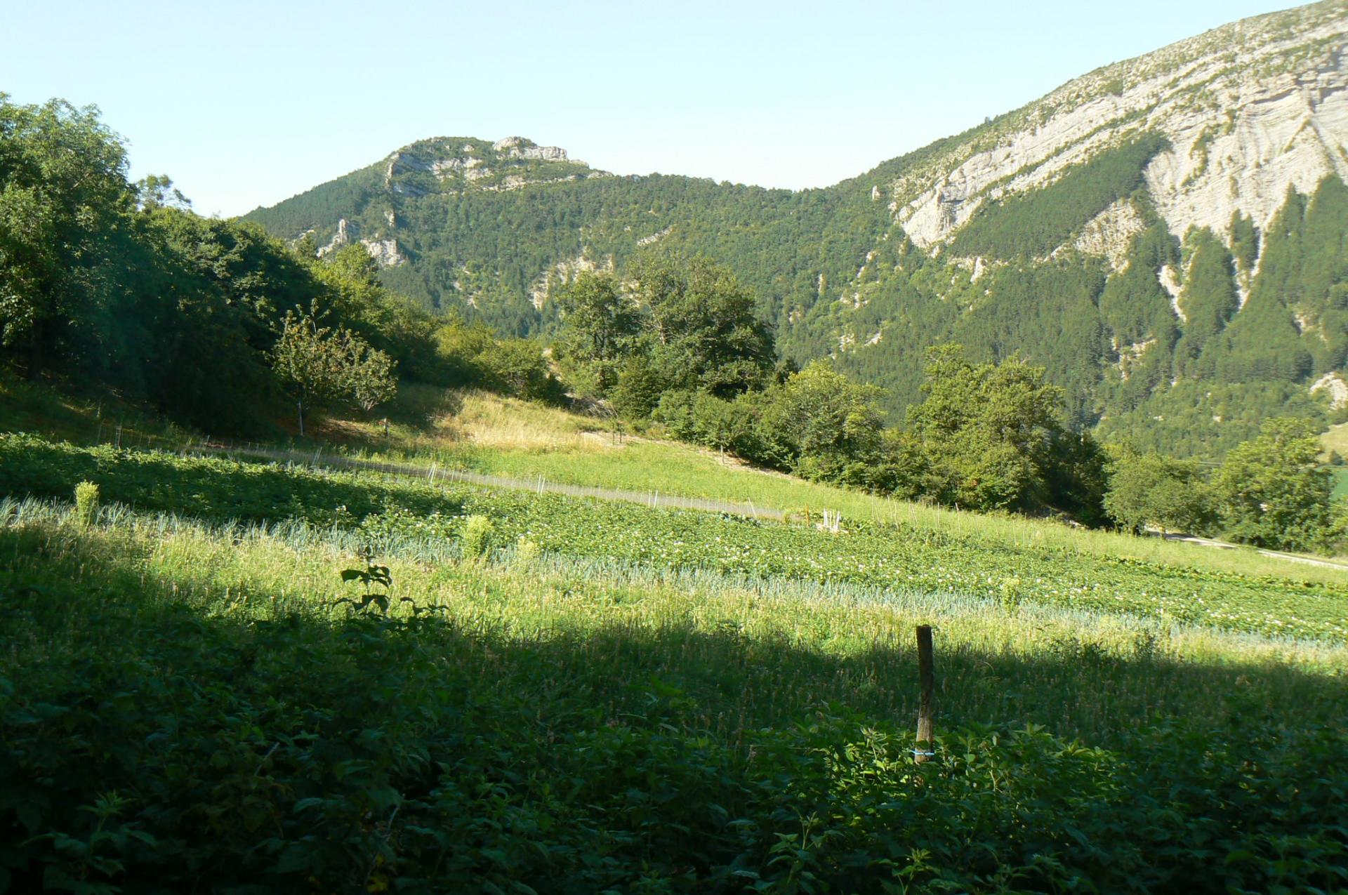 Nature