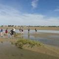 Baie de somme 02