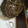 Boule de lierre